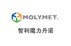 智利魔力丹諾集團人力資源咨詢項目案例