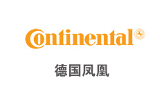鳳凰集團人力資源咨詢項目案例