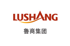 山東省商業(yè)集團戰(zhàn)略與集團化管理項目