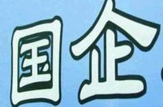 國內(nèi)大型企業(yè)集團管控體系咨詢